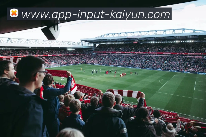 开云APP发展历程